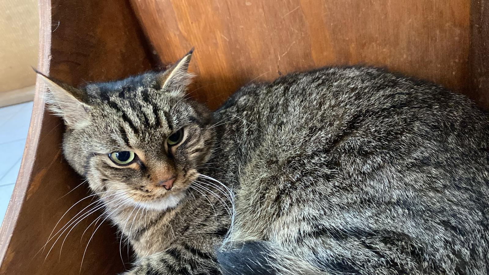 Lui & Monty – Tierheim Beckstetten